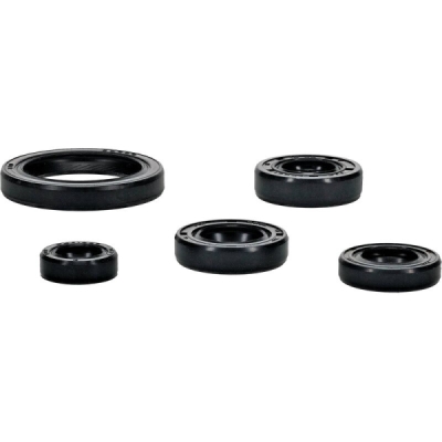 Sada gufer motoru WINDEROSA EOSK 822994