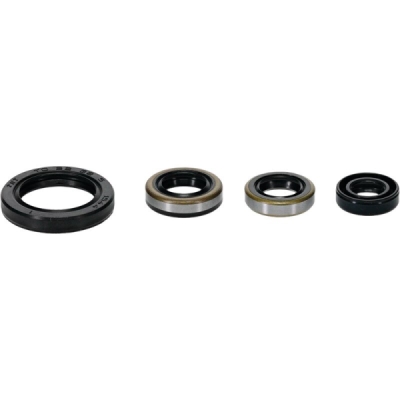 Sada gufer motoru WINDEROSA EOSK 822399