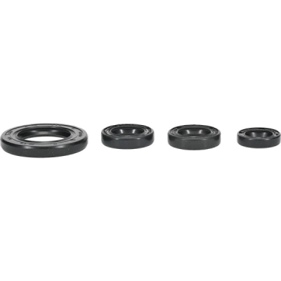 Sada gufer motoru WINDEROSA EOSK 822395