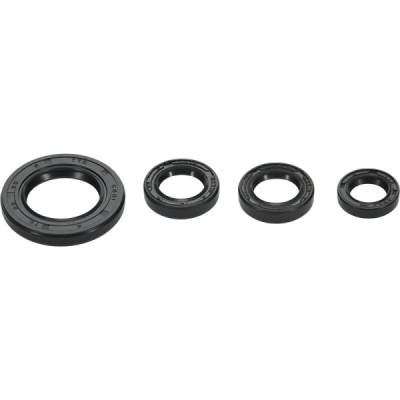Sada gufer motoru WINDEROSA EOSK 822395