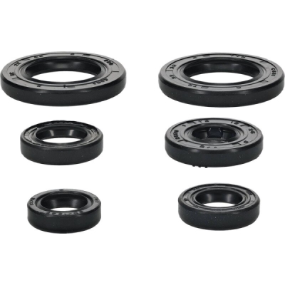 Sada gufer motoru WINDEROSA EOSK 822391