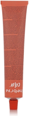 Inebrya Color Ash (6/13 Tmavě blond popelavá zlatá) 100 ml