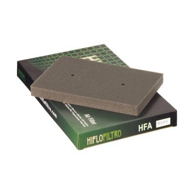 Vzduchový filtr HIFLOFILTRO HFA2505