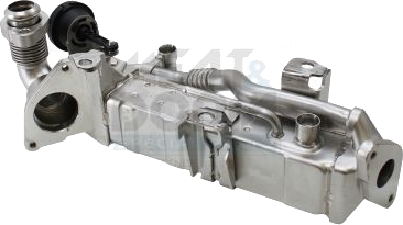 Exhaust gas purification