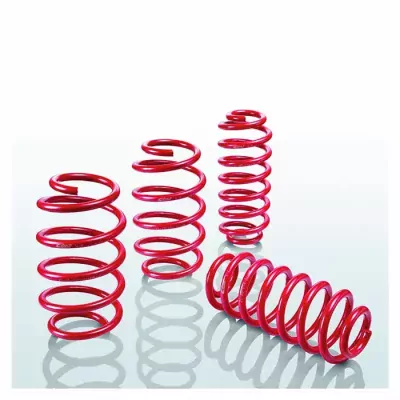 Chassis-sæt, fjedre Eibach E20-20-030-01-22