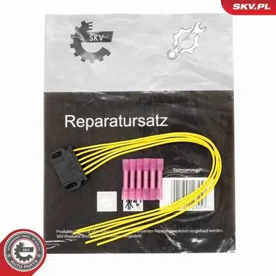 Luktura vadu remonta komplekts AIZ. VAG ESEN SKV 53SKV292