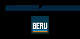 BorgWarner (BERU)