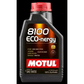 MOTUL ECO-NERGY Motorolie 5W-30, 1l