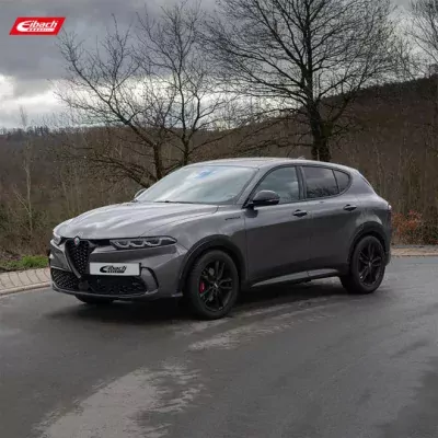 Alfa Romeo Tonale, Eibach Pro Kit, pružiny performance komfort