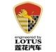 LOTUS (YOUNGMAN)