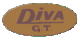 DIVA