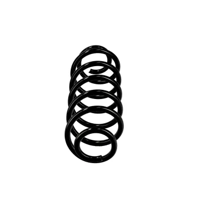 Eibach ERL (Replacement Coil Spring) Rear R10070