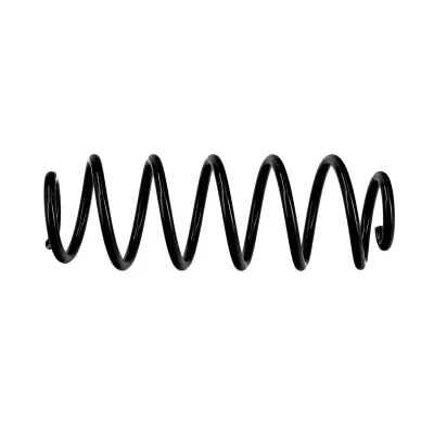 Eibach ERL (Replacement Coil Spring) Rear R10070