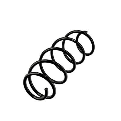 Eibach ERL (Ersatz-Schraubenfeder) přední R10491