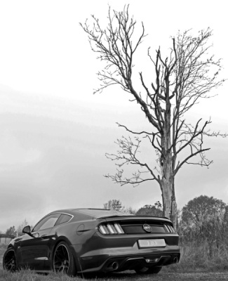 FOX Nerezový výfuk | Zadní tlumič - Ford Mustang, 5.0 V8, 2014-0, FO141003-293