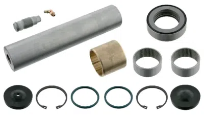 Set reparatie, pivot RENALT RVI 5010 216 742