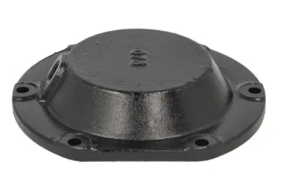 Capac, butuc roata MAN 81413520009