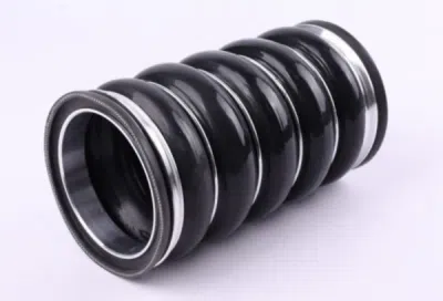 Furtun ear supraalimentare 8000006611