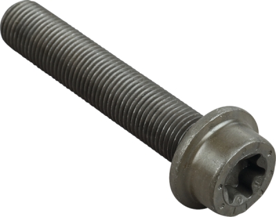 Surub, disc frana PE Automotive 016.176-00A