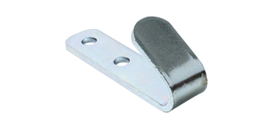 Clema prelata 13x3