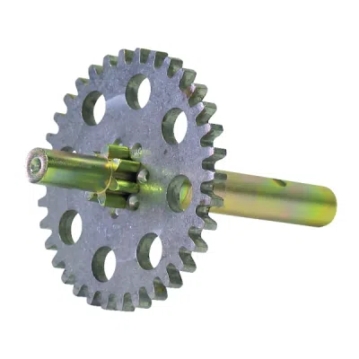 Pinion picior Haacon
