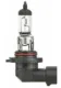PZ20d