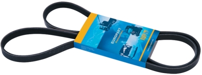 Curea transmisie cu caneluri EUROPART BRAND