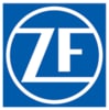 ZF PUNTI