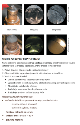 GSP 250ml na 500L paliva