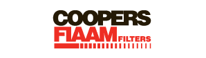 Fiamm logo