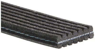 Curea transmisie cu caneluri GATES 7DPK2884