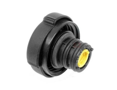 Buson vas expansiune ORIGINAL BMW 17137639023