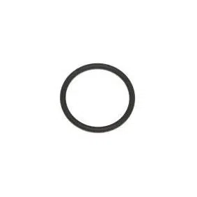 Inel de etansare ORIGINAL VW GROUP N 904 519 02