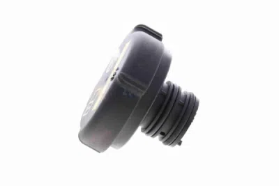 Buson, vas expansiune VAICO V20-0098-1