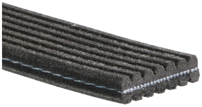 Curea transmisie cu caneluri GATES 7DPK2884