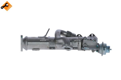 Radiator, recirculare gaze de esapament NRF 48358