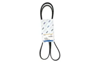 Curea transmisie cu caneluri ORIGINAL FORD 1102827