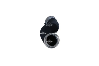 Furtun aer supraalimentare NRF 166102