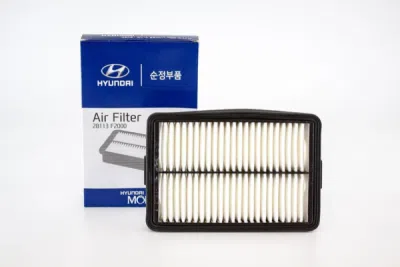 Filtru aer ORIGINAL HYUNDAI / KIA 28113 F2000
