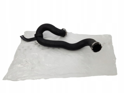 Furtun intercooler ORIGINAL PEUGEOT 9675754080