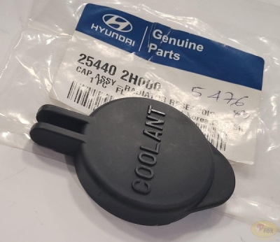 Buson, vas expansiune ORIGINAL HYUNDAI / KIA 254402H000