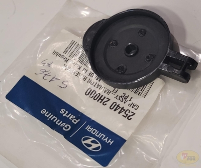Buson, vas expansiune ORIGINAL HYUNDAI / KIA 254402H000