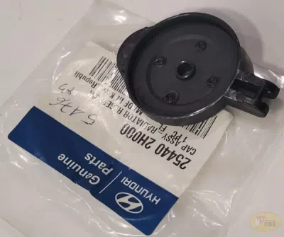 Buson, vas expansiune ORIGINAL HYUNDAI / KIA 254402H000