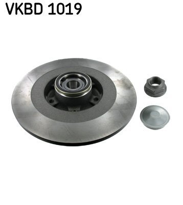 Disc frana SKF VKBD 1019
