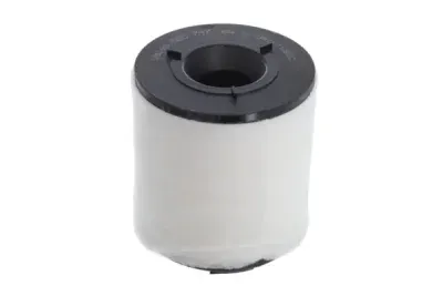 Filtru aer VALEO 585747
