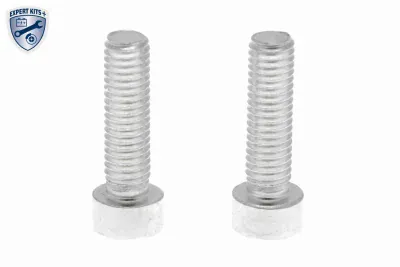 Set Piese, schimb ulei cuplaj lam. (tracț. integr.) VAICO V25-1300