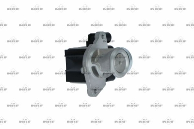 Supapa EGR NRF 48374