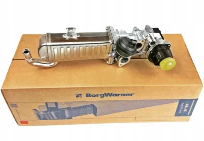 Modul-EGR BorgWarner (Wahler)