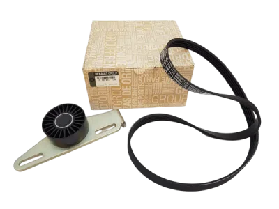 Intinzator curea, curea distributie ORIGINAL RENAULT 11 72 017 73R