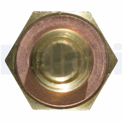 Senzor, temperatura lichid de racire DELPHI TS10250